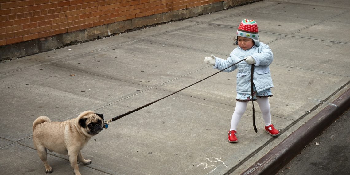 Wat moet je doen als je hond blaft naar kinderen?