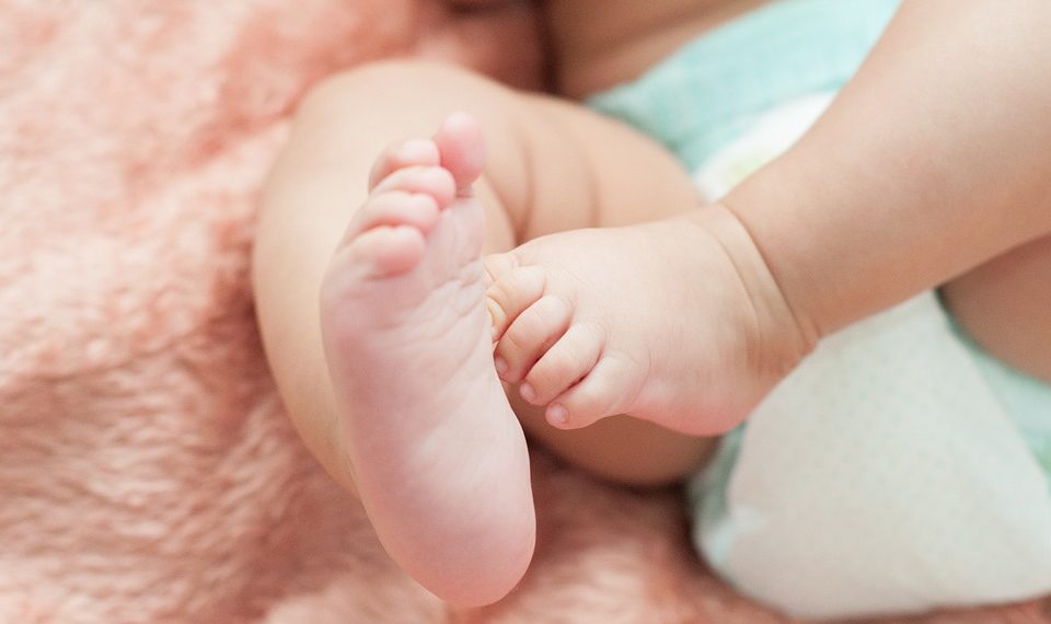 Nes71 wint eerste Haarlemse Mugjes Luier Award