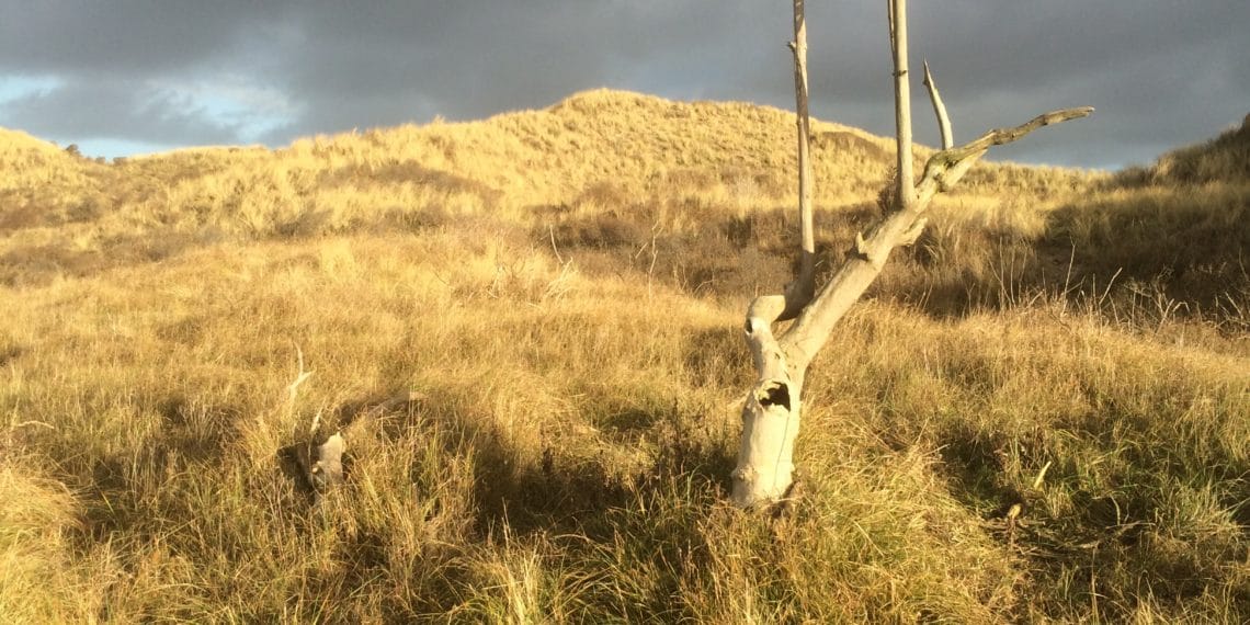 Provincie gaat aan de slag met terugdringen stikstof