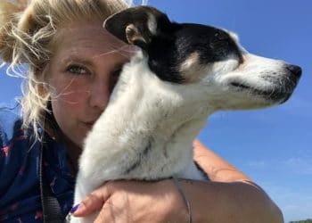 Hoe goed is het voor een hond om te sporten?