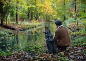 Schrijver en columnist Lex Paleaux