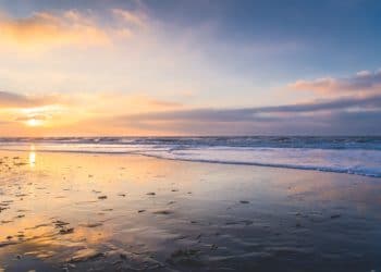 Oproep: “Kom niet naar het strand!”