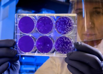 Haarlemmer besmet met Coronavirus