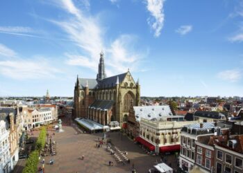 Nova-studenten helpen Haarlemse ondernemers met hun webshop