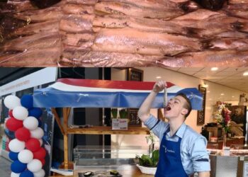 Hoe is de smaak van de Hollandse Nieuwe dit jaar?