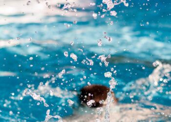 Houtvaart vanaf 1 juli weer open