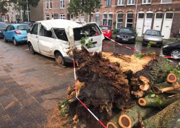 Zeker 30 meldingen van schade door storm Francis