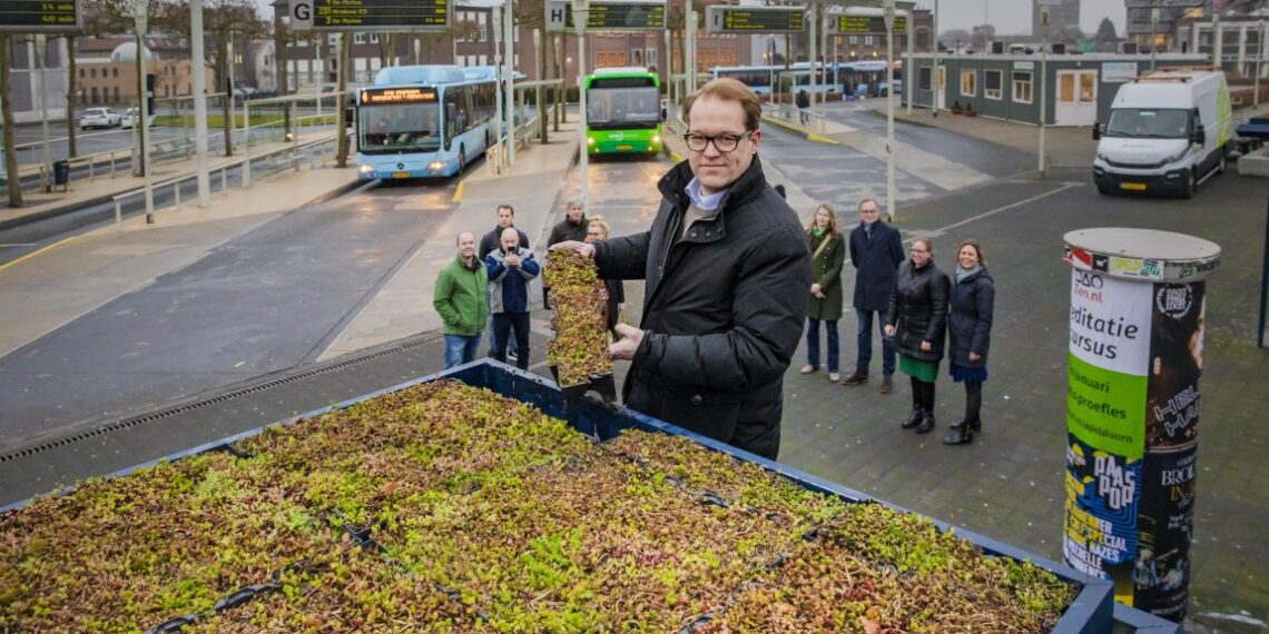 Gemeente: “Vetplantjes op abri’s maken de stad duurzamer”