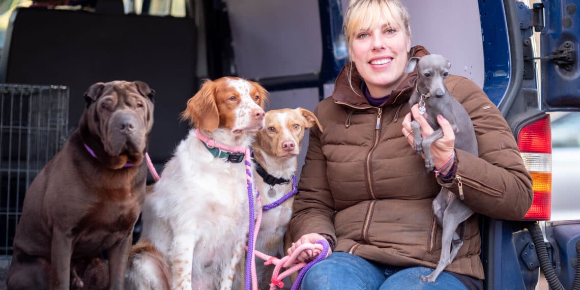 Met je hond naar een trimsalon, goed idee? – Arianes Spreekuur