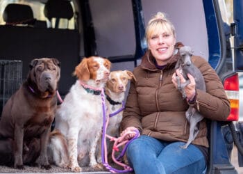 Een teckel als huisdier, waar moet je rekening mee houden? – Arianes Spreekuur