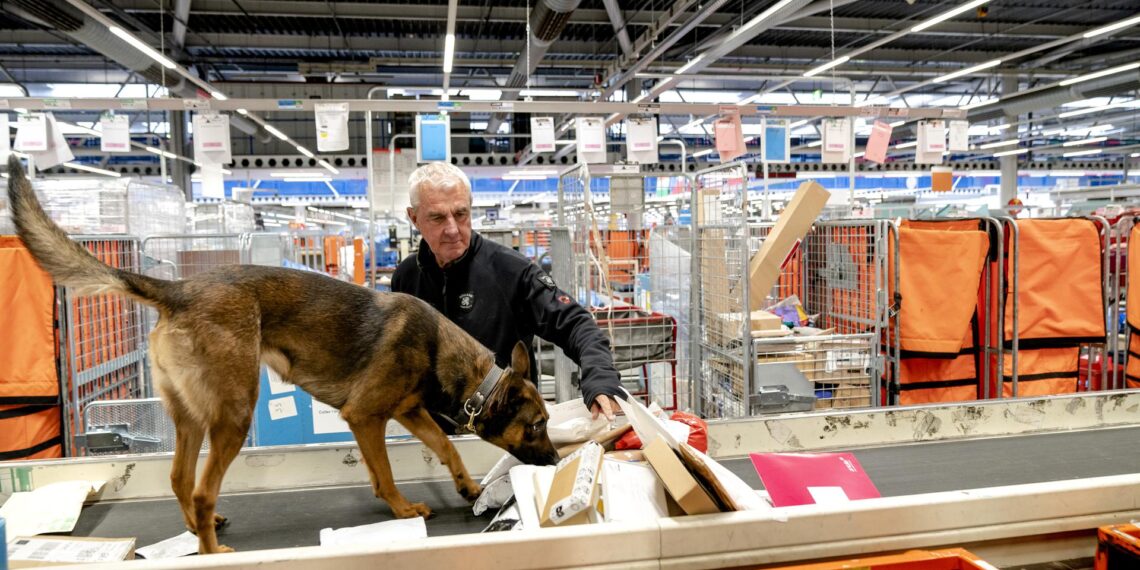 Helft Noord-Hollanders start vanwege corona eerder met Sint- en Kerstaankopen