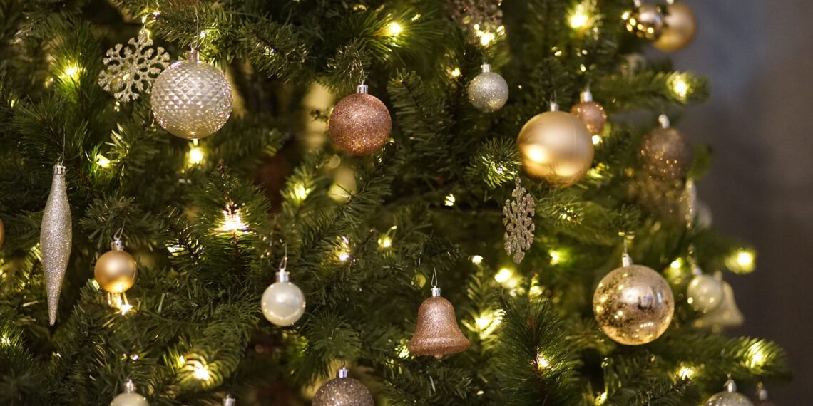 Nu al vraag naar kerstbomen in Haarlem en omgeving