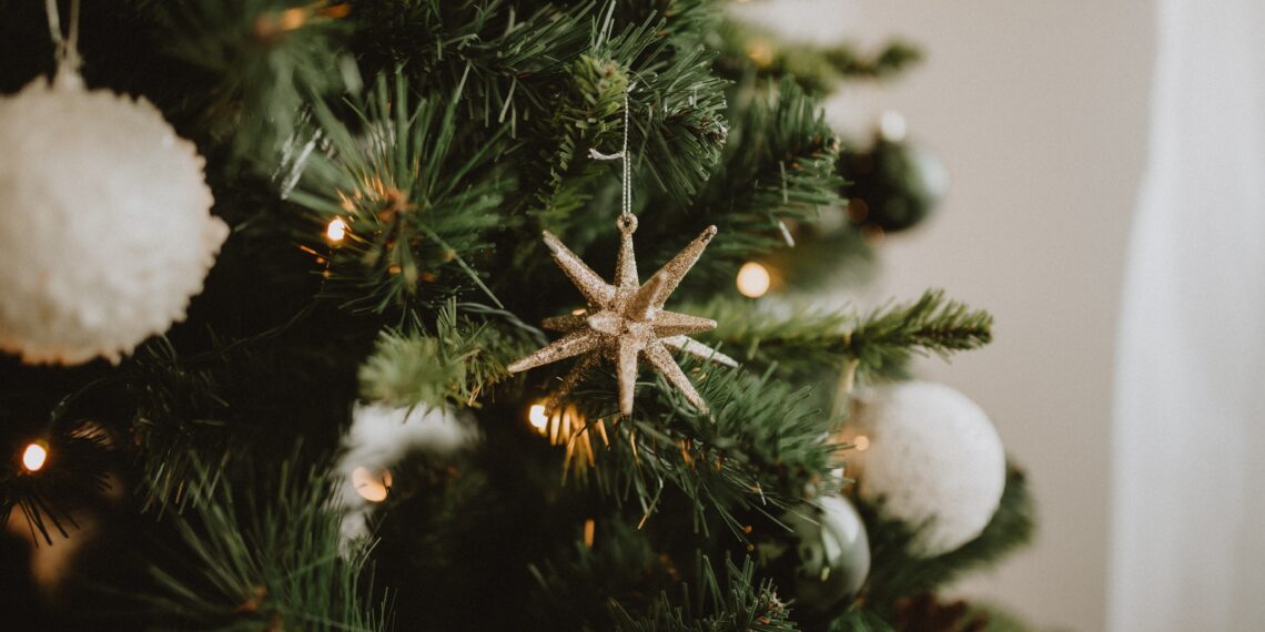 Is het verstandig om nu al een kerstboom te kopen?