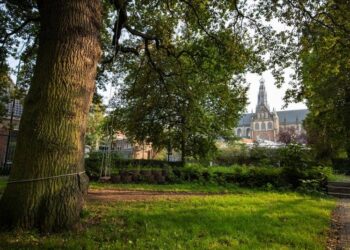 Podcast neemt je mee door het groen in Haarlemse binnenstad