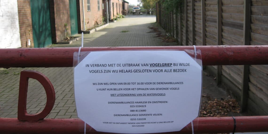 Vogelhospitaal Haarlem dicht wegens vogelgriep
