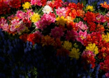 Fotowedstrijd Frans Hals: “Ontdek anders naar jezelf te kijken”