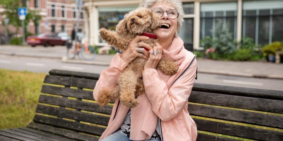 Haarlemse ouderen koppelen aan een oppashond