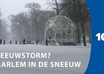 Sneeuwstorm in beeld