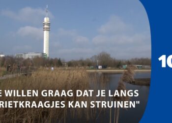 Opknapbeurt voor de Veerplas