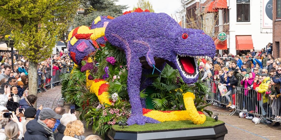Bloemencorso Bollenstreek deelt 450 bossen tulpen uit