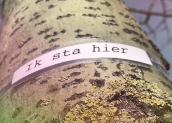 Een ode aan vertraging in wandelpark Caprera