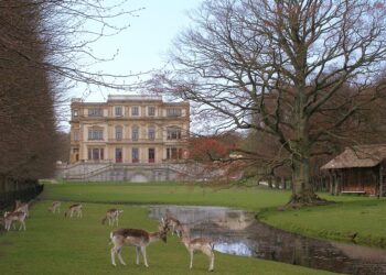 Elswout een evenementenlocatie? ‘Dat moeten we niet willen’