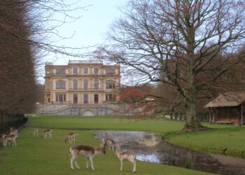 Elswout een evenementenlocatie? ‘Dat moeten we niet willen’