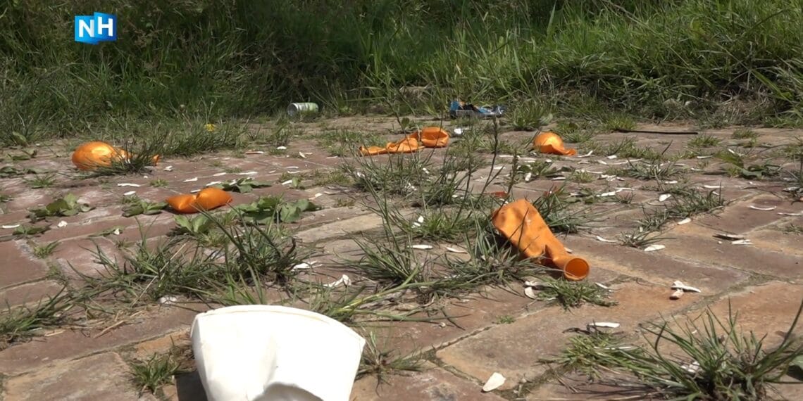 Twijfels over alcohol- en drugsverbod in park: “Mensen willen recreëren met drankje”