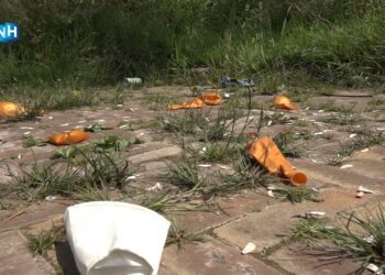 Twijfels over alcohol- en drugsverbod in park: “Mensen willen recreëren met drankje”