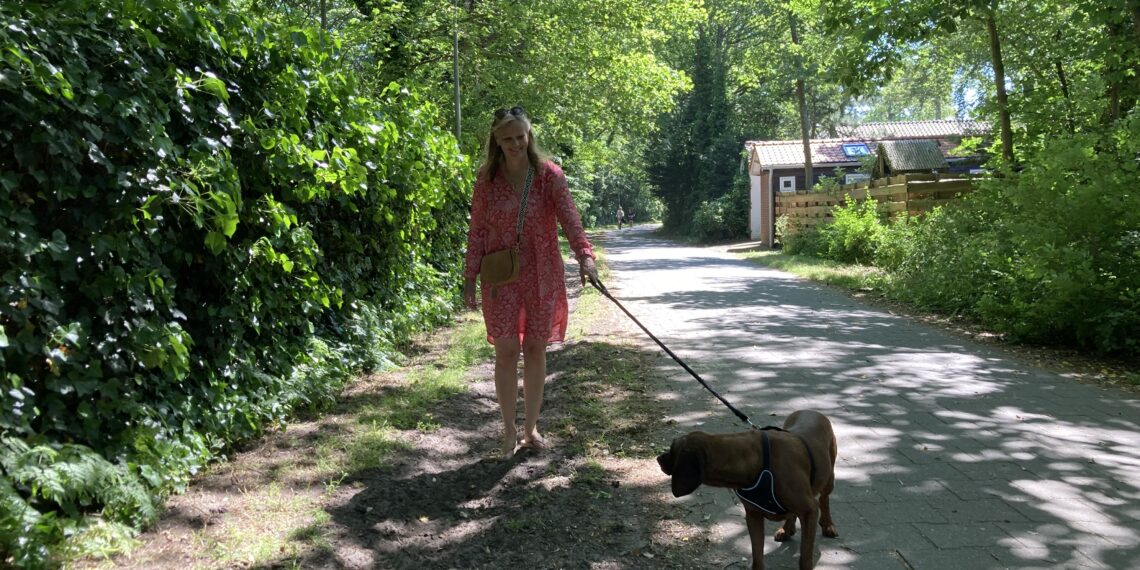 Bloemenberm langs fietspad plat gemaaid “Hoe kan je dit verzinnen”