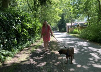 Bloemenberm langs fietspad plat gemaaid “Hoe kan je dit verzinnen”