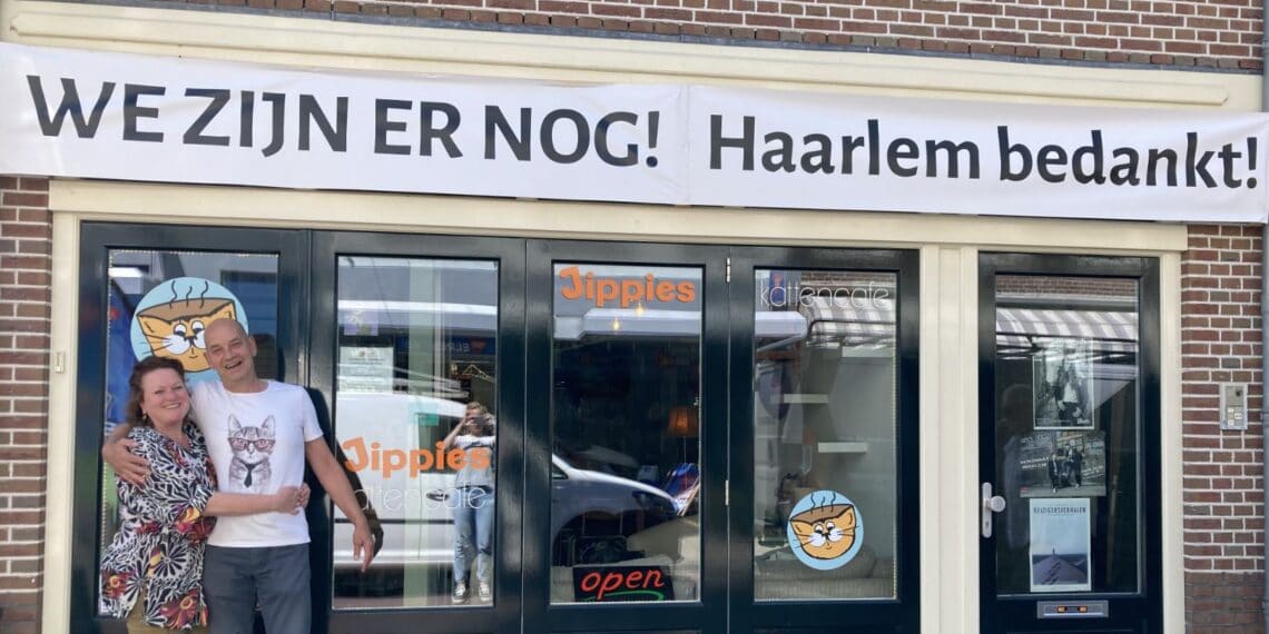 Haarlems kattencafé bedankt buurt en stad voor steun tijdens coronacrisis