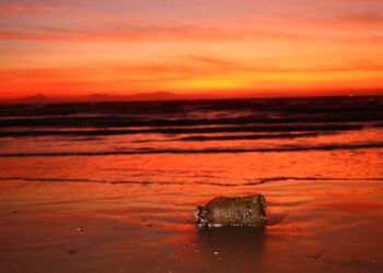 Strandtenten zeggen plastic rietjes, bekers en bestek op terrassen vaarwel