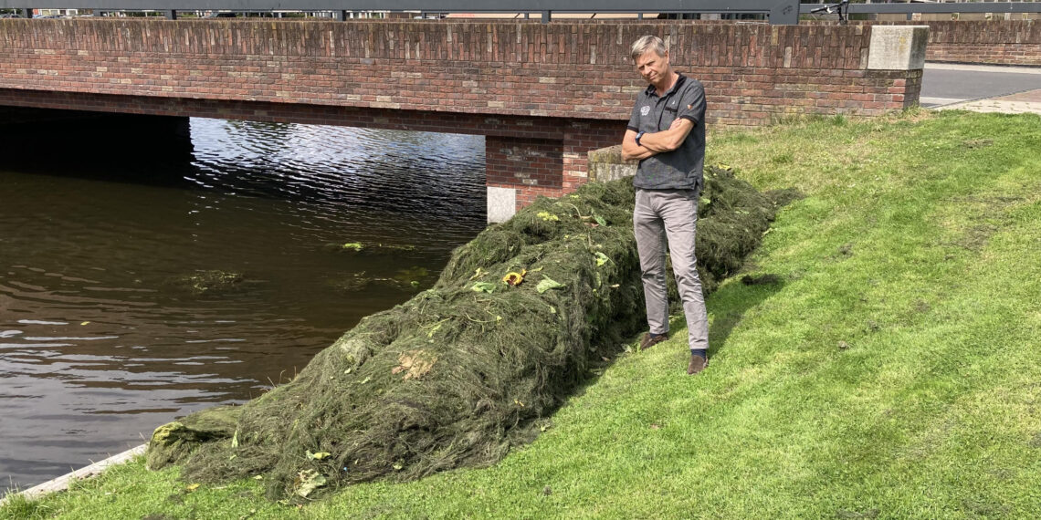 Woekerende waterpest vergalt vaarplezier in Heemstede: “Het stinkt ook”