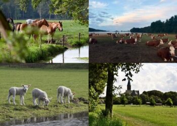 Tot tranen toe geroerd door massale steun voor behoud agrarisch landschap Vogelenzang