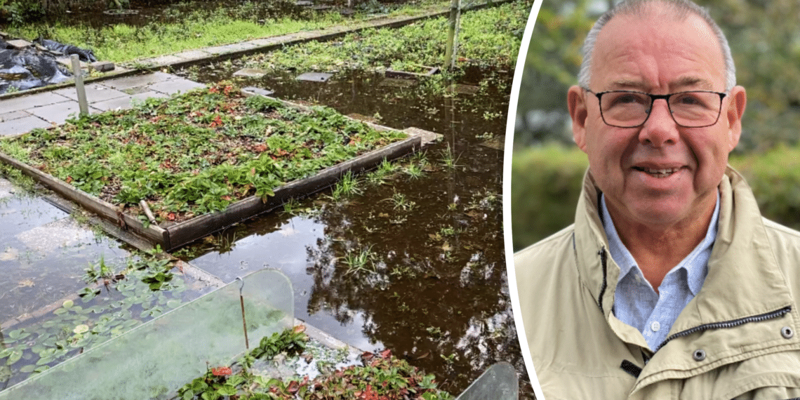 Gemaal volkstuin werkt al jaren onbehoorlijk: ‘Beter waterlelies kweken dan spinazie’