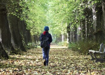 Zoektocht naar pleeggezinnen niet makkelijk: “Soms zitten we bij een voetbalclub te praten”