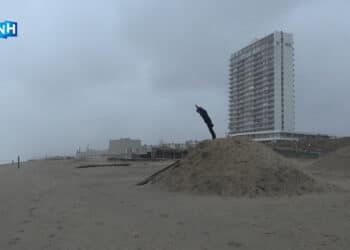 Uitwaaien op strand Zandvoort: “Corrie past bij een hondje, maar dit is meer een wolf”