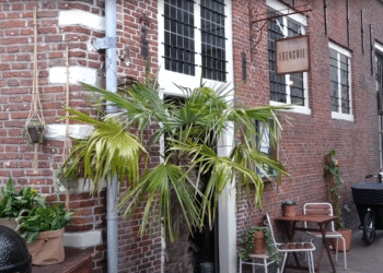 Restaurant Frenchie opent morgen voor protestlunch: “De koek is echt op”