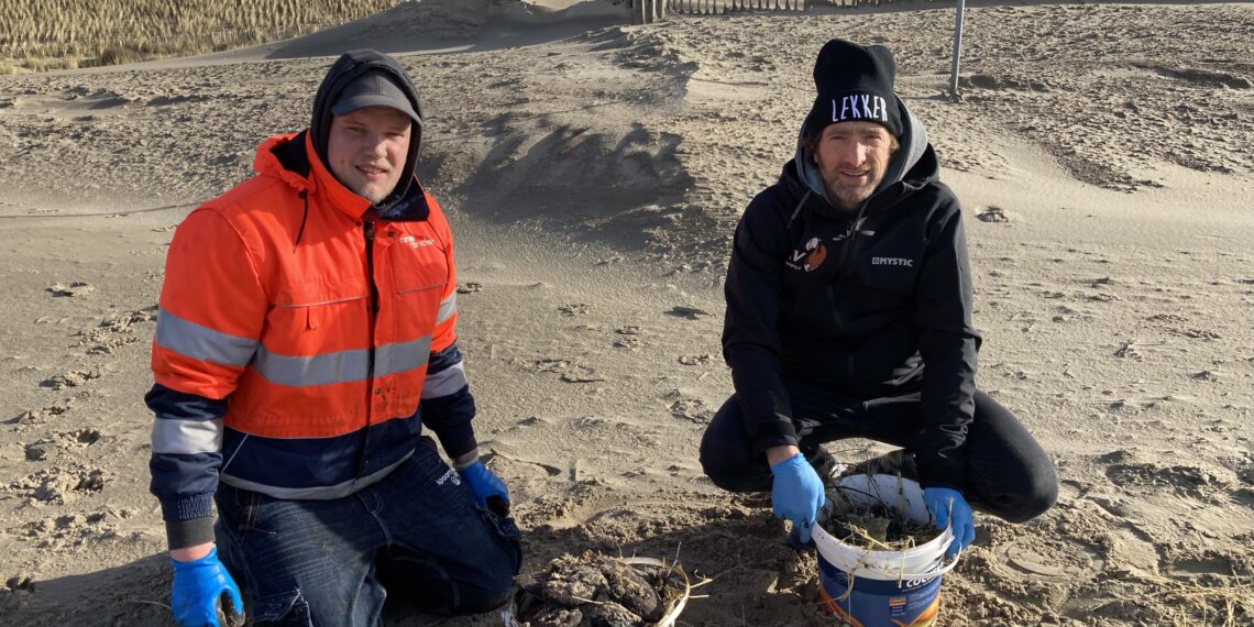 Opnieuw olie aangespoeld op stranden: “In 20 jaar nog niet eerder meegemaakt”