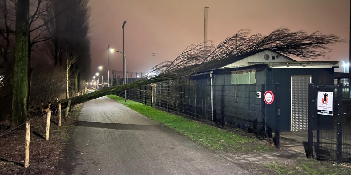 Boom valt op dak honk-en softbalvereniging Schoten