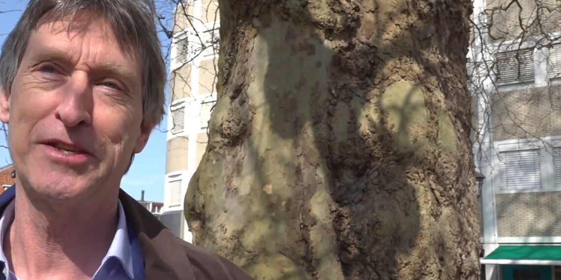 Zij strijden voor het behoud van bomen: “Mensen bellen ons huilend”