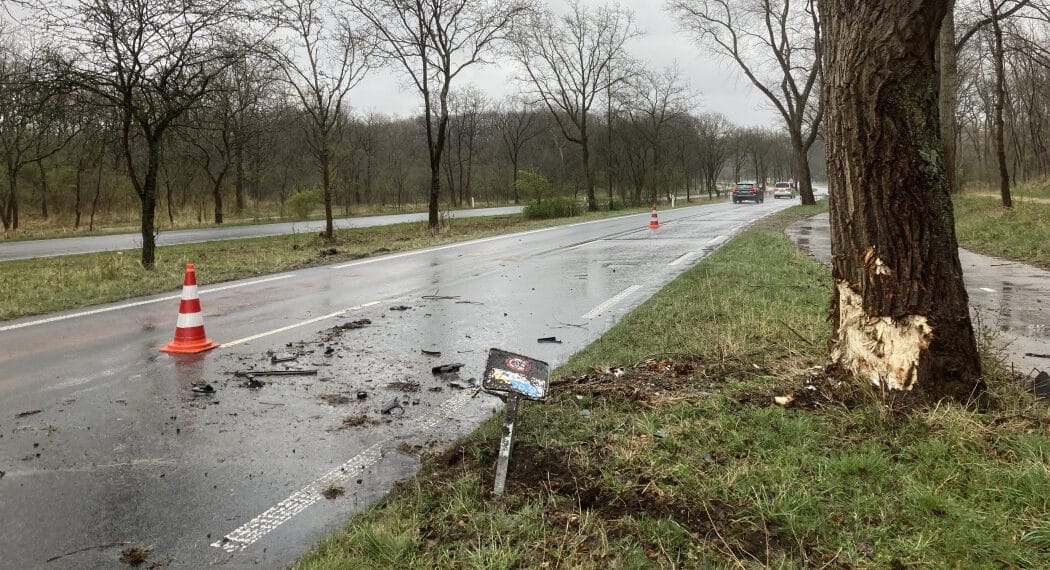 Auto klapt tegen boom op Zeeweg, bestuurder en hond komen met de schrik vrij