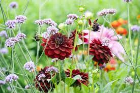 Voorzitter Floriade Bernt Schneiders: “Een verlies van 60 miljoen euro is een enorme hap geld”