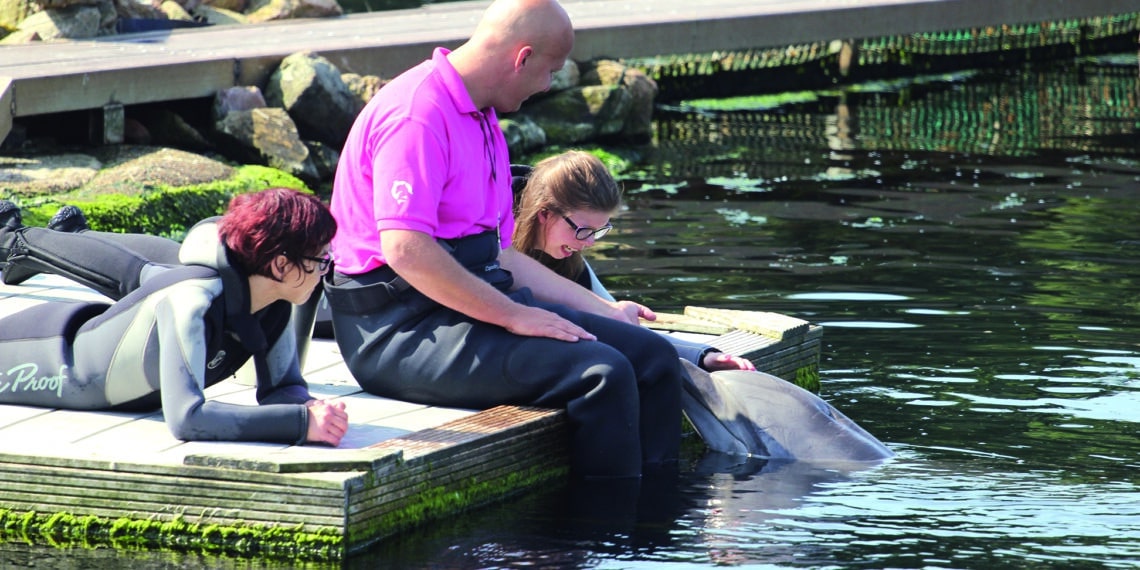 50 jaar ‘De Baan’ voor mensen met een beperking: “Iedereen kan hier zichzelf zijn”