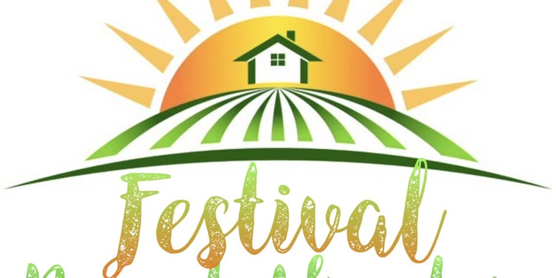 Minifestival in Haarlem-Noord bij Noord Akendam