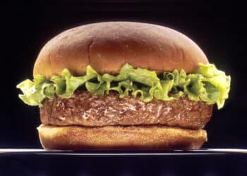 GroenLinks-raadslid Ziggy Klazes over verbod op vleesreclames in Haarlem: “Het kan ook gewoon niet meer“