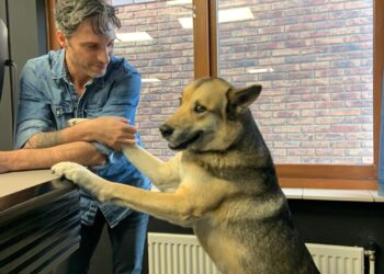 Lex Paleaux vindt aanpassingen boeken Roald Dahl een schande: “Ik ging echt over mijn huig”