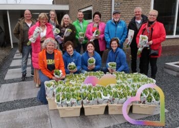 500 tulpen uitgedeeld voor Bloemencorso-actie ‘Wie verdient een bloementje?’