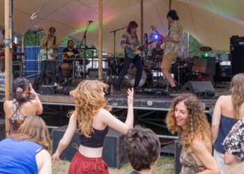 Houtfestival trekt ruim twintigduizend bezoekers, toch bijven er zorgen over de toekomst